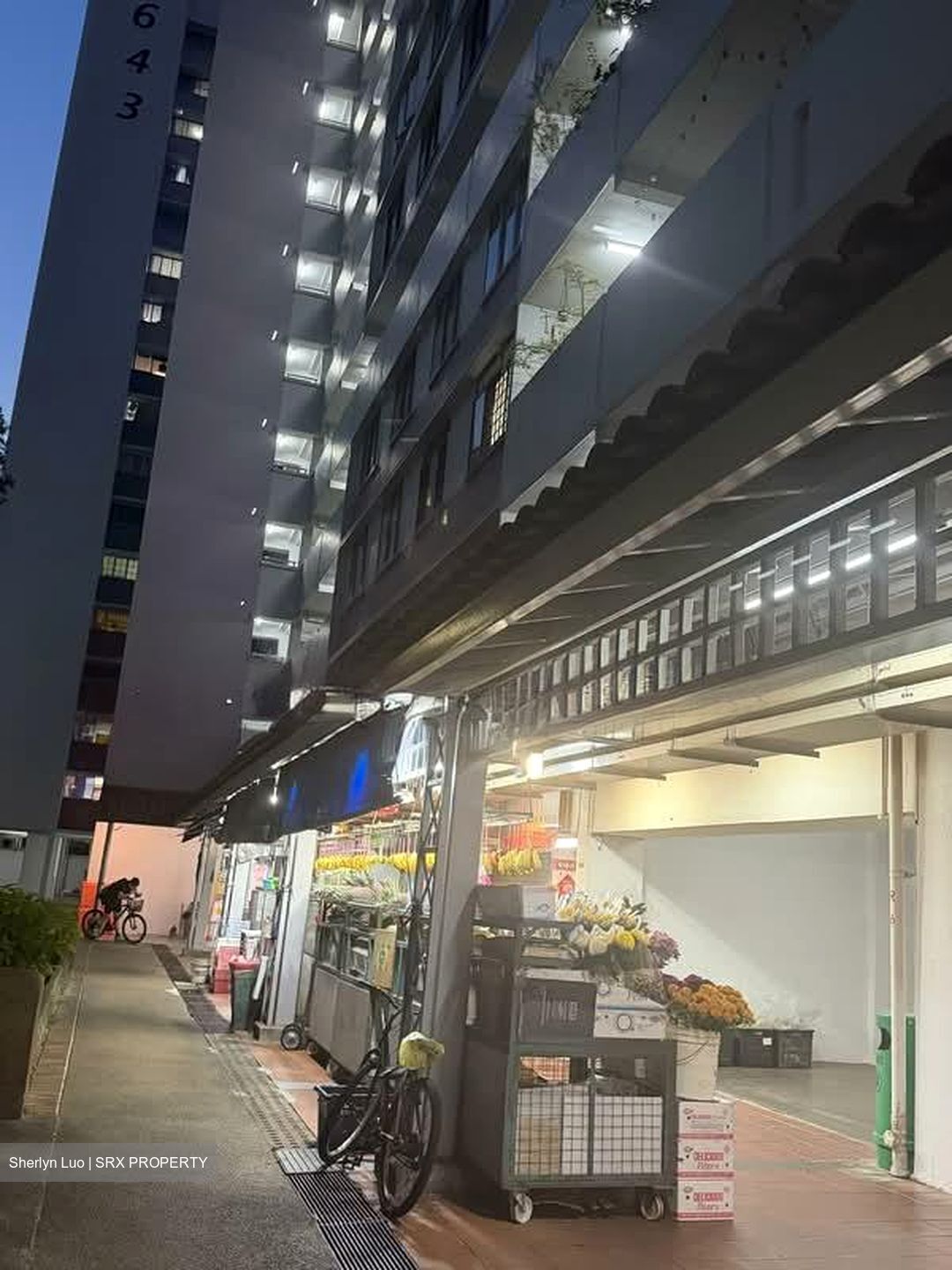 Hougang Avenue 8 (D19), Shop House #530639361